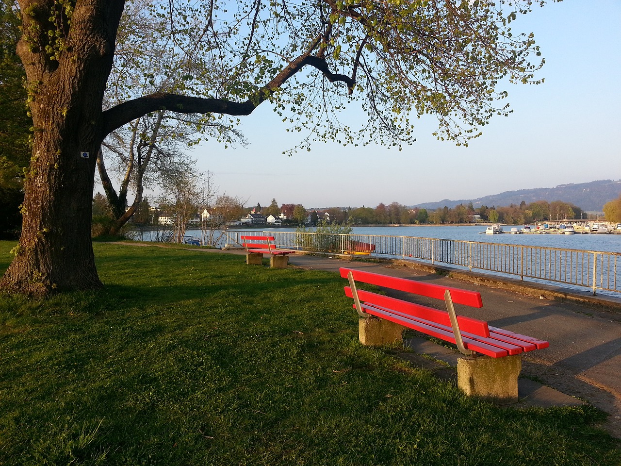 实力和不懈 实力和不懈