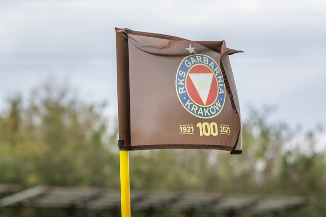 动员应有的 动员应有的