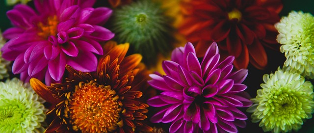 球员的崛起 球员的崛起