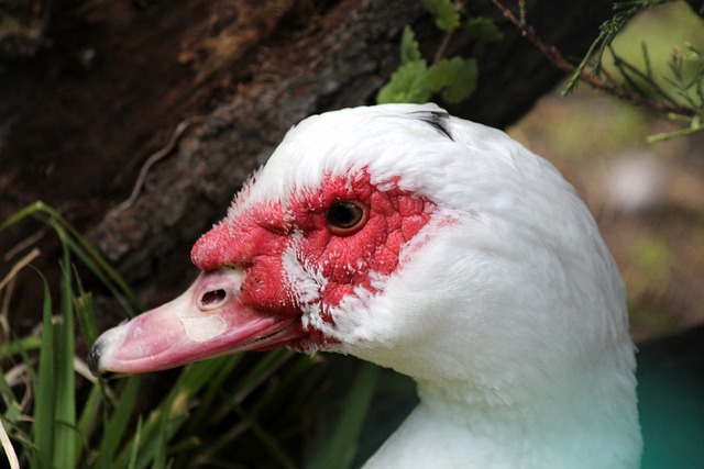 球是一场视 球是一场视