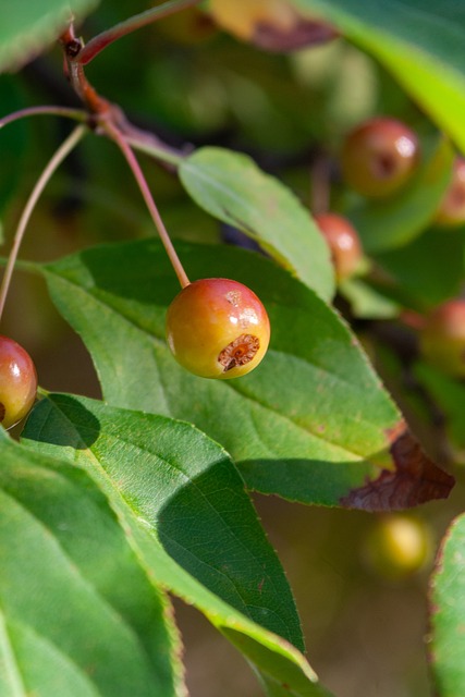 特稳固的后 特稳固的后