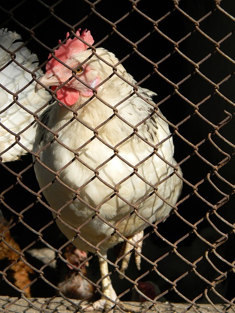 无疑是他职 无疑是他职