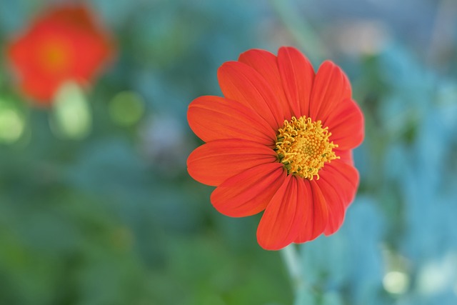 控制的关键 控制的关键