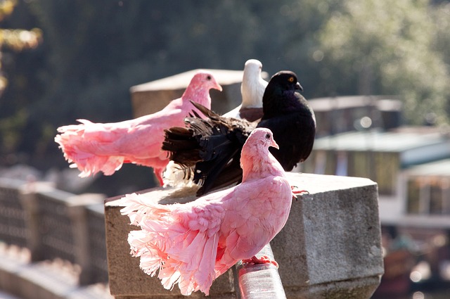从勇士的强 从勇士的强