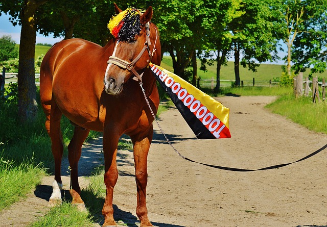 鲁梅尼格：欧冠两回合零封药厂固然很好，但被波.
